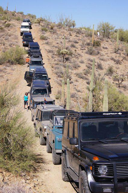 317484 10150366169229868 849044867 8243157 2131614676 n