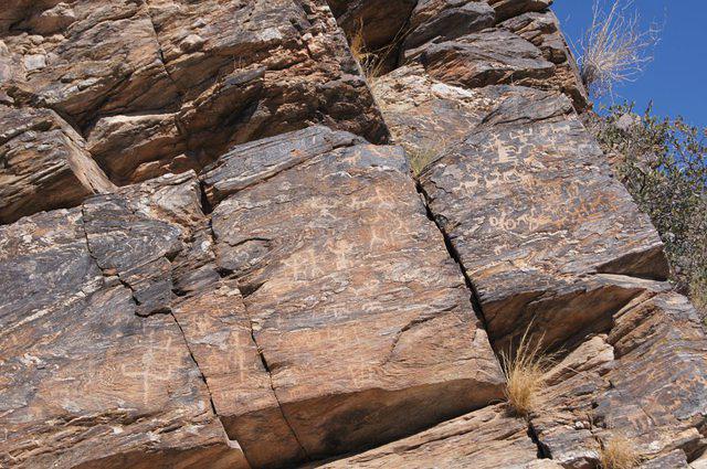 320271 10150367464294868 849044867 8250176 215938071 n