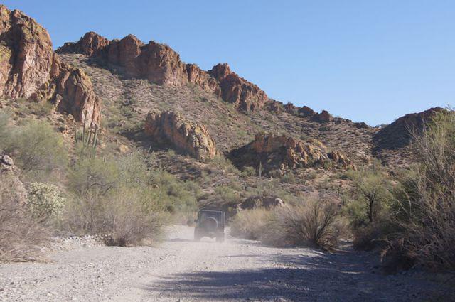 321554 10150367470654868 849044867 8250204 1877681432 n