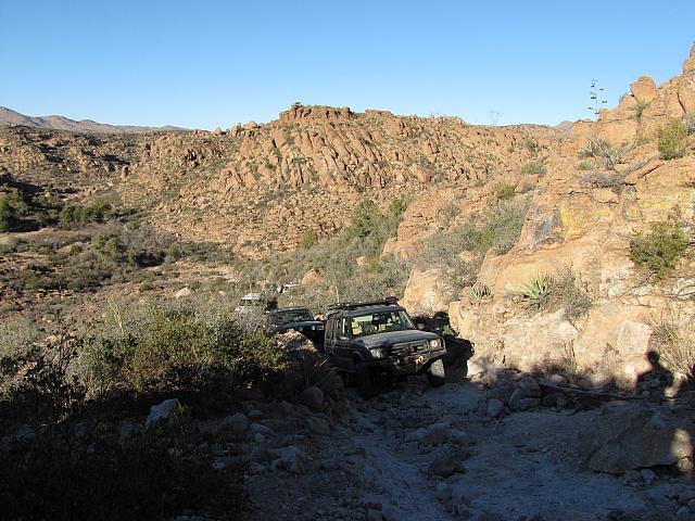 AZLRO-on Hackberry trail