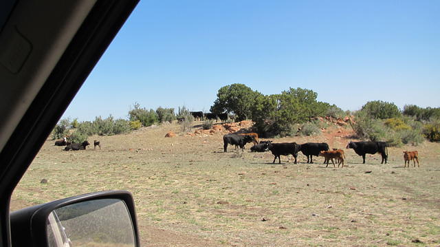 AZLRO Rally 2012 007