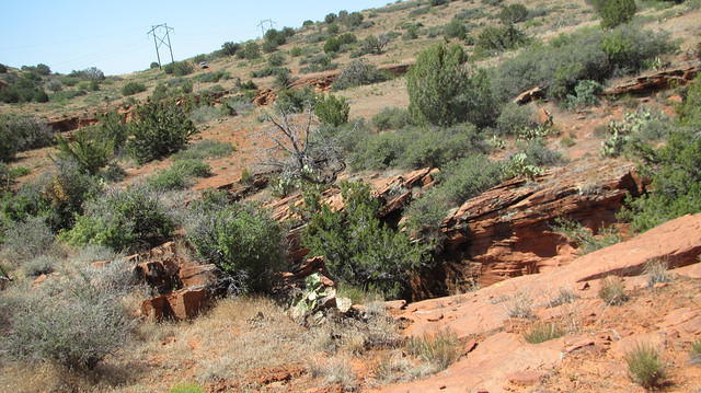 AZLRO Rally 2012 176