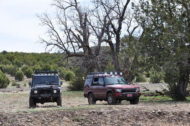 07-Lunch wiith DII & D90