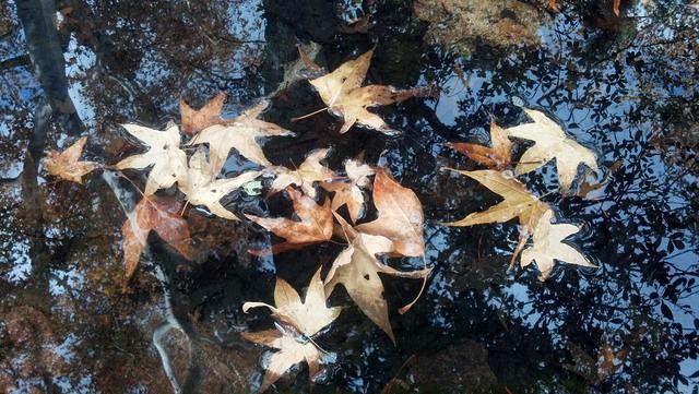 2012-11-03 14-24-57 208