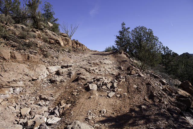 Oak Creek Homestead-4