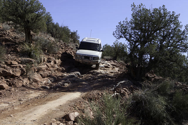 Oak Creek Homestead-6