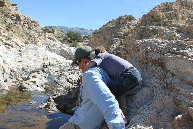 581684 10200283857450492 1725281521 n