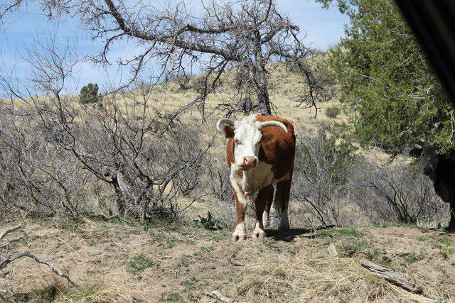 581855 10200283857570495 395764834 n