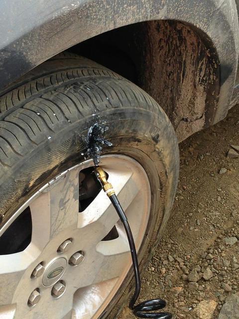 485992 10200796739471973 1766977486 n