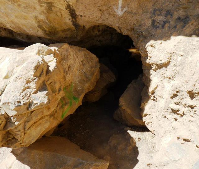 156039 10151508889558701 874058698 n