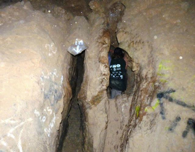 482382 10151508890163701 1477061597 n