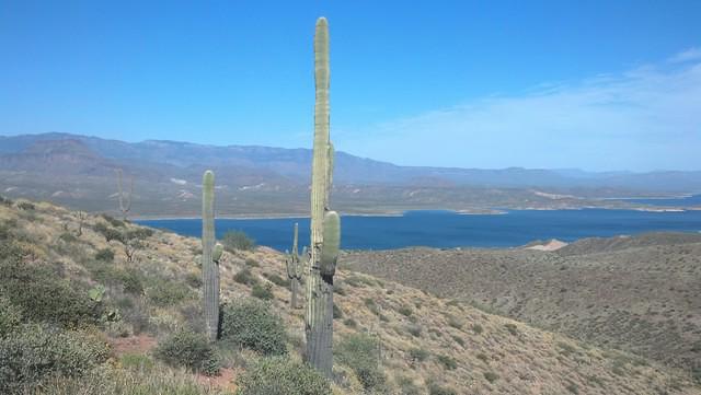 IMG 20140412 155107 890