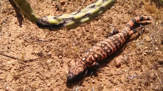 IMG 20140412 111433 156