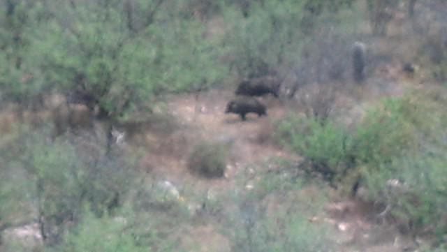 IMG 20140412 130057 617