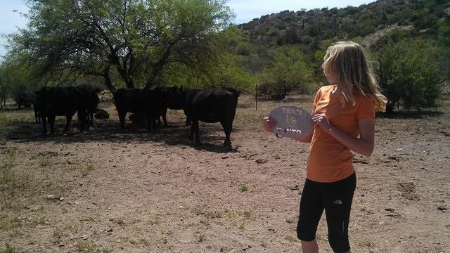 IMG 20140412 124933 663