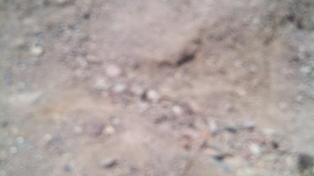 IMG 20140412 125419 553