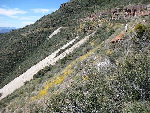 Angel Wings (mine tailings)