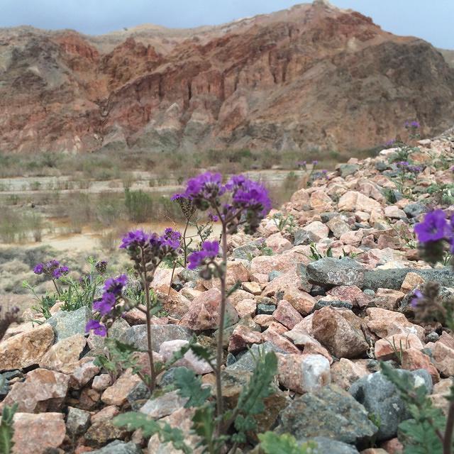 20140301-154126-iPhone