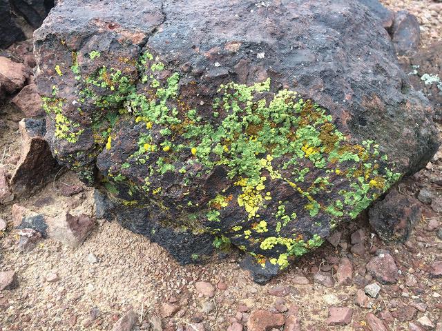 iPhone-20140228-135010