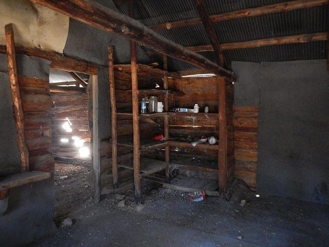 10988585 678680202273183 4736848453485091331 n