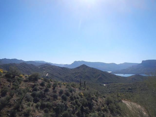 12295510 678680562273147 8699403949020734438 n