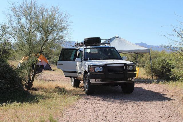 1557697 1520044191635653 825992567590338936 n