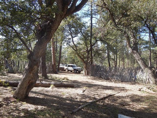 1930602 678680232273180 8794146889783642905 n