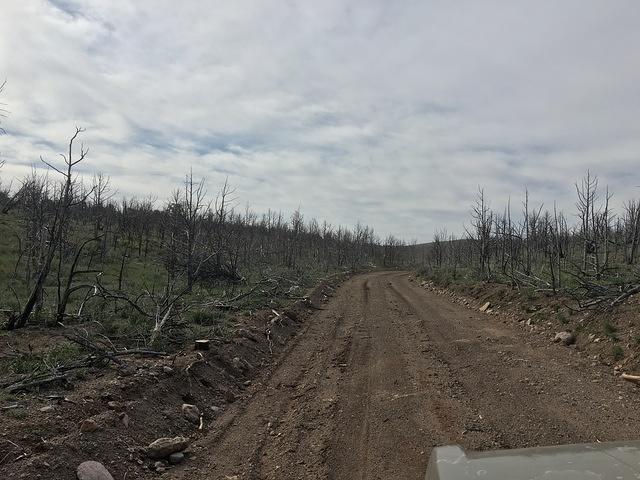 20160514-083327-Chad-iPhone