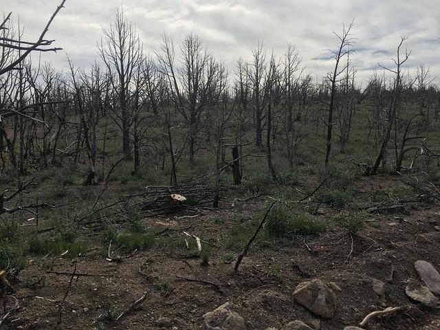 20160514-083332-Chad-iPhone