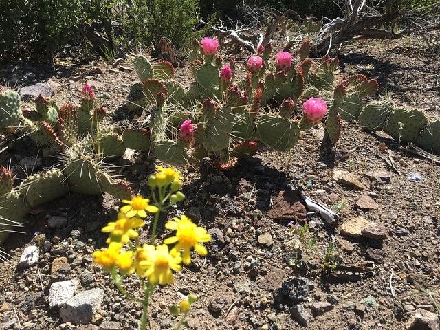 20160514-104206-Chad-iPhone