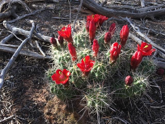 20160514-190228-Chad-iPhone