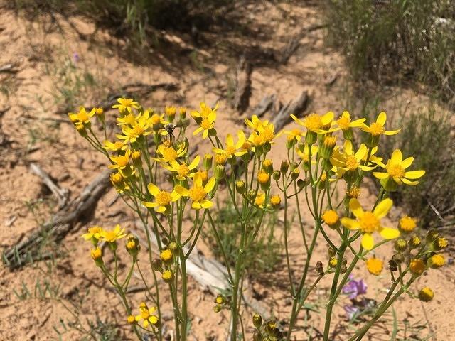 20160515-112033-Chad-iPhone