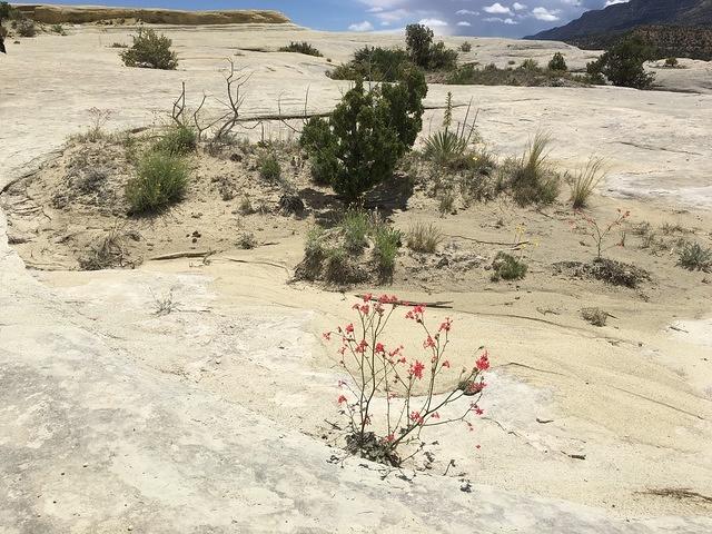 20160517-124130-Chad-iPhone