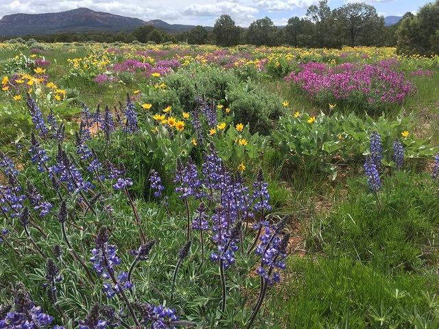 20160520-112358-Chad-iPhone