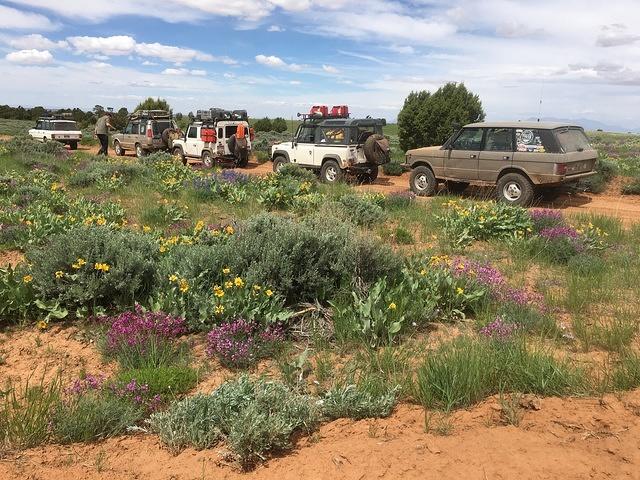 20160520-112425-Chad-iPhone