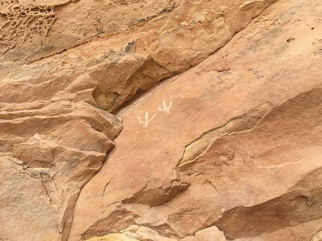 20160520-132046-Chad-iPhone