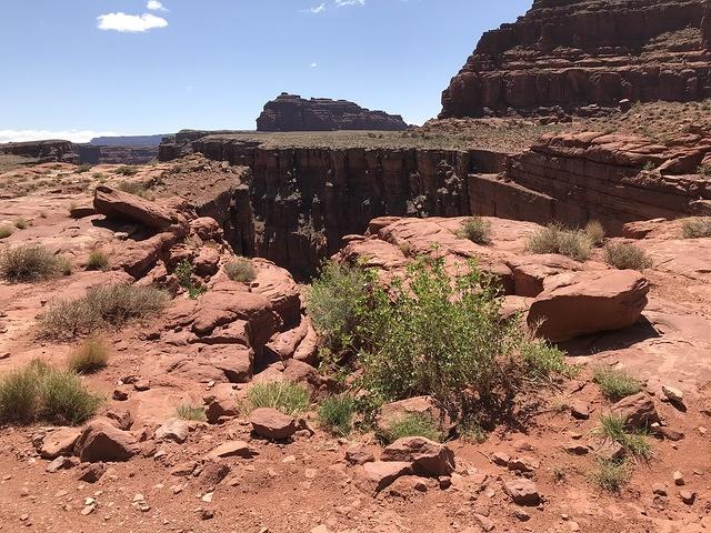 2018-0421-115713-iPhone 7 Plus