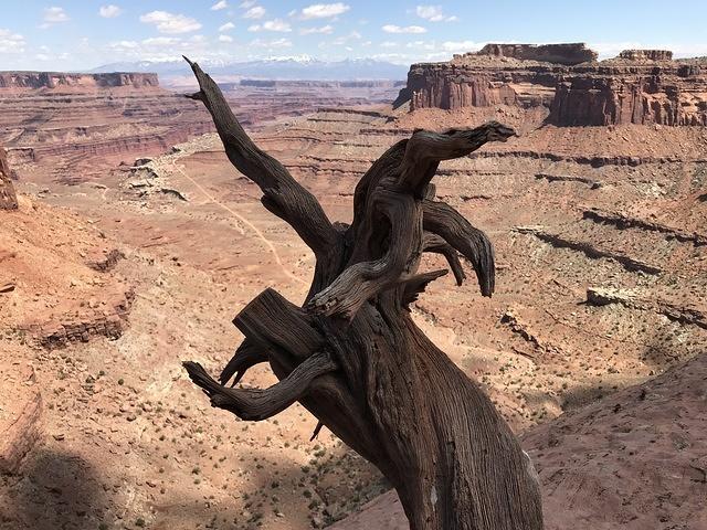 2018-0421-140825-Shafer Trail-iPhone 7 Plus