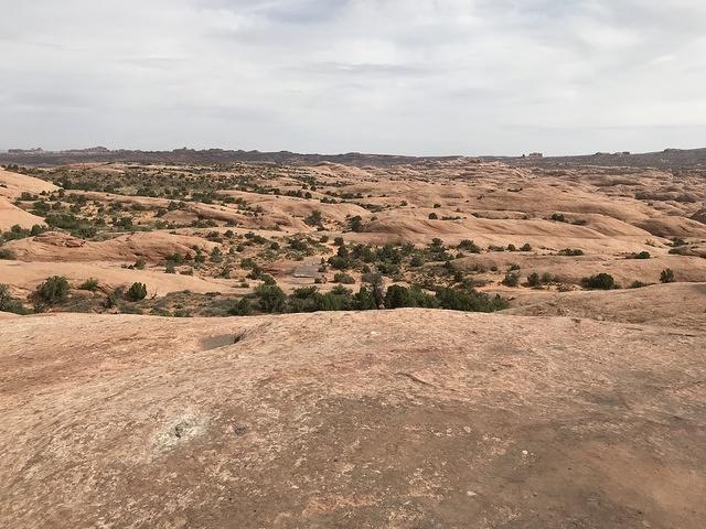 2018-0419-103019-iPhone 7 Plus