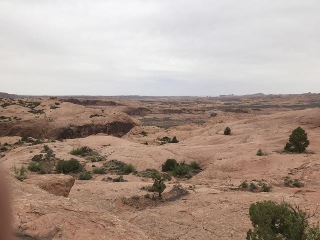 2018-0419-141605-iPhone 7 Plus