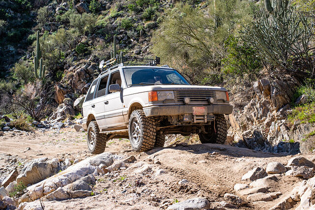 azTrailJan18-0095