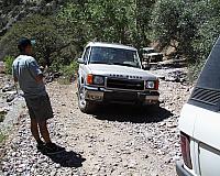 Dealership employees and their Disco