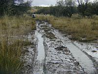 mudtrail003
