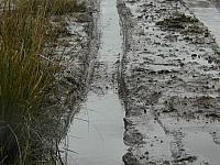 mudtrail004
