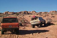 cattle on the trail (hard to see from this photo)
