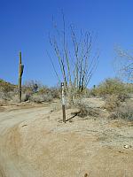 01-SIGN-Fire_Road_42