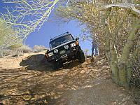 20-Jon_Christensen-016 loosehill-throughtrees