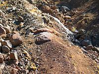 The Rug Road.  Old carpet covered a 2/3 mile stretch of steep, rocky hill climb.