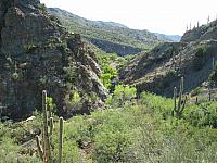 A nice canyon view from the Copper Creek road.