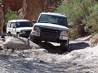 A Series II having fun with an obstacle